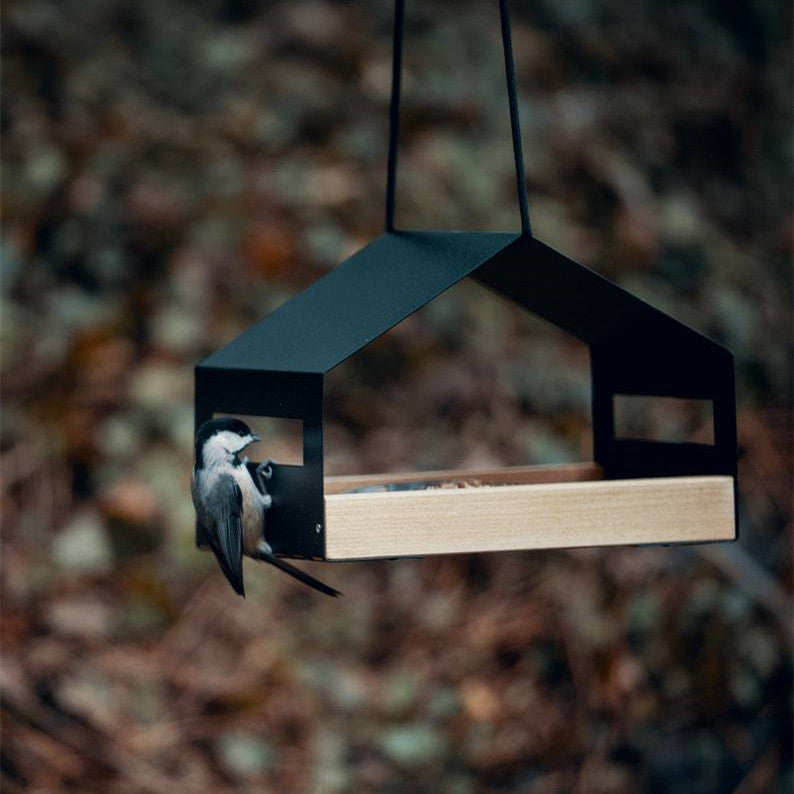 Transform Your Outdoor Space with the Outdoor Garden Hanging Bird Feeder